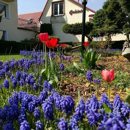 Homestay Gosciniec